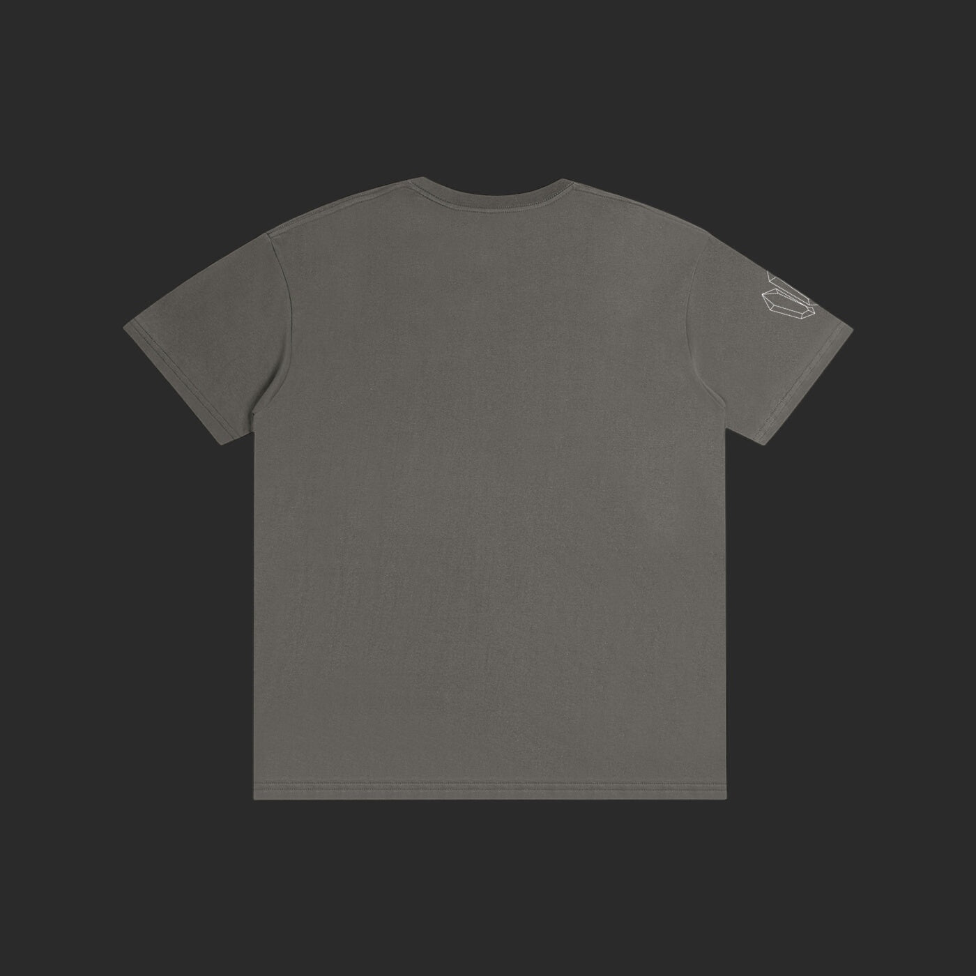 4iir Normie T grey cotton t-shirt with a small white graphic on the sleeve, shown from the back.
