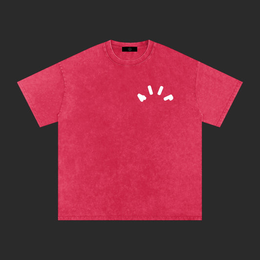 Insanity Washed T